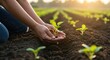 © ferifadli - Image of a person's hand planting and watering plant seeds in a large field