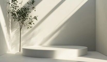 Wall Mural - Oval platform, sunlit room, plant, minimalist display