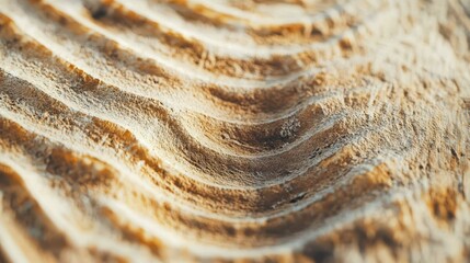 Poster - Close-Up of Textured Wooden Surface with Curved Patterns and Waves