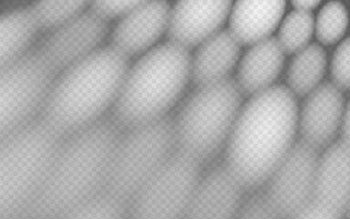 Wall Mural - abstract shadow overlay from foliage on a transparent background.