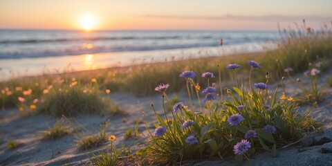 Poster - beach landscape at sunset featuring wildflowers in the foreground with ocean waves and distant horiz