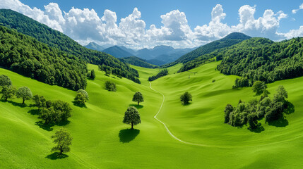 Wall Mural - lush green hills under bright blue sky with fluffy clouds and trees