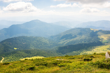 Wall Mural - carpathian mountain landscape in summer. beautiful view with rolling hills. alpine scenery of chorno