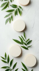 Poster - Soft circular shapes are arranged with lush green leaves on a textured white surface, creating a calming and minimalist aesthetic in this composition