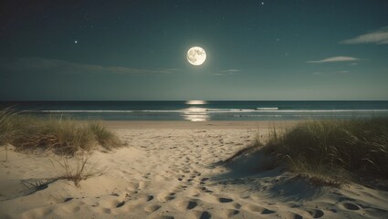 Poster - serene moonlit beach scene with sandy path leading to ocean and night sky ideal for adding text or q