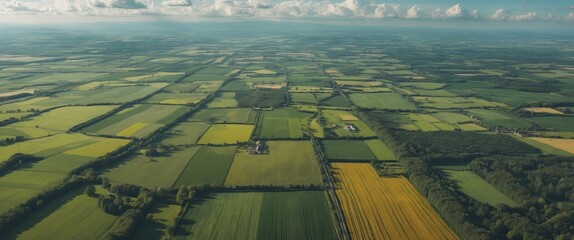 Wall Mural - Aerial view of vibrant agricultural landscape featuring fields, meadows, and farms under blue skies with selective focus on greenery.