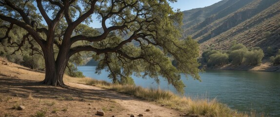 Wall Mural - Serene Valley Oak Tree by Reservoir Surrounded by Nature with Space for Text Overlay