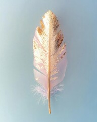 Poster - Golden feather art minimalist studio soft background close-up nature's beauty
