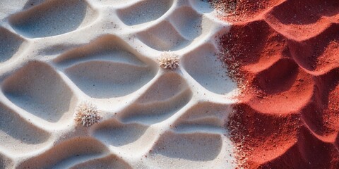 Poster - Contrasting White and Red Sand Patterns on the Ground with Text Space for Creative Use