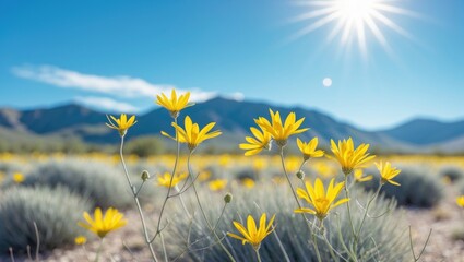 Poster - vibrant yellow desert wildflowers amidst sagebrush and majestic green mountains under bright blue sk