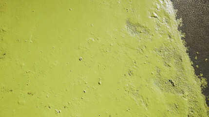Aufkleber - Chartreuse moss texture on wet concrete surface for background or design