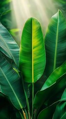 Wall Mural - lush green leaves with vibrant textures and natural light filtering through, creating a serene tropi
