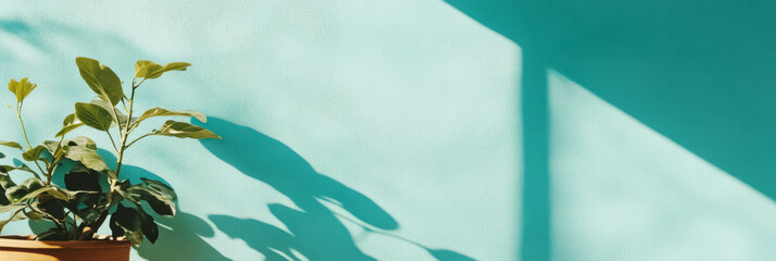 Poster - Light blue painted wall with potted plant and shadows for interior design inspiration