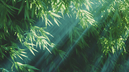 Leinwandbilder - Serene green bamboo texture with soft light for nature design