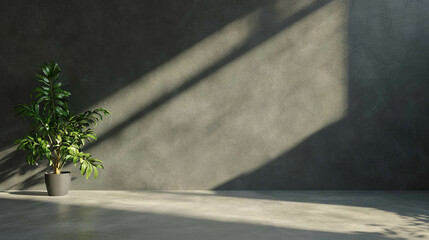 Poster - Modern interior with smooth slate effect grey wall and green plant in sunlit room