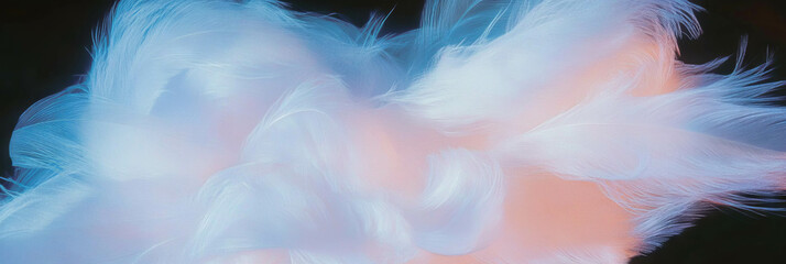 Poster - Delicate feathered texture with soft light paint for artistic designs