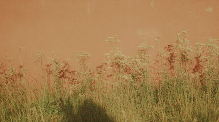 Poster - Rustic mud wall with dry grass texture in warm natural light