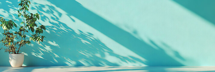 Poster - Serene atmosphere with pale blue wall and plant shadows for interior design inspiration
