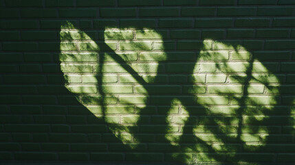 Poster - Forest green moss textured wall with natural leaf silhouette shadows