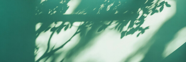 Poster - Serene pale green wall with leaf shadows for calm and relaxation themes