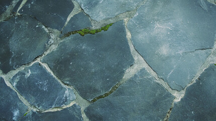 Poster - Weathered stone surface with moss texture for natural background design