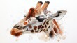 © AiPhotoSale - A striking watercolor of a giraffe’s head and neck, featuring lifelike detail and vivid hues. The head turns slightly to the left, capturing elegance in every line