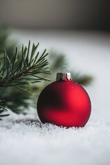 Wall Mural - snowy ornament on ground
