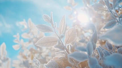 Wall Mural - frosty plant leaves