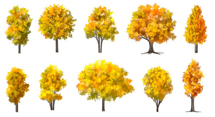 Wall Mural - vector watercolor blooming flower tree or forest side view isolated on white background for landscap