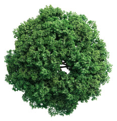 Sticker - PNG Tree green view top.