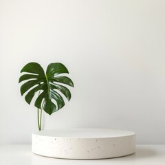 Aufkleber - Minimalist Display: Monstera Leaf and Concrete Podium on White Background for Product Presentation