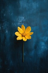 Canvas Print - Single Yellow Flower on Blue Background