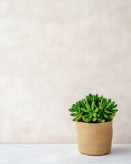 Poster - Eco-Chic Workspace Sustainable Linen and Ceramic Accents with Succulent on Marble - Minimalist Design for Modern Office Aesthetics and Enhanced Productivity