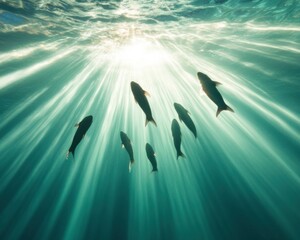 Poster - Natural Aqua Aesthetic Sunlit Underwater Caves and Fish - Adventure Inspiration for Travel Marketing and Eco-Tourism Campaigns