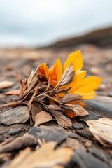 Poster - Autumn Coastal Conservation Organic Leaf Arrangement on Rocky Shoreline - Eco-Friendly Content for Environmental Stewardship and Sustainable Tourism Marketing