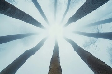 Poster - Natures Architectural Canopy Modern Forest Aesthetic for Sustainable Design and Eco-Friendly Urban Planning Content in Professional Environments