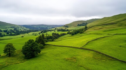 Poster - Lush Green Landscape with Rolling Hills and Dramatic Cloudy Sky