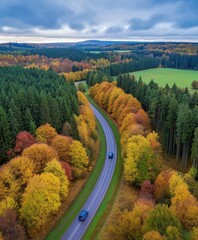 Sticker - Aerial view of a car navigating a winding road surrounded by lush greenery in a serene forest setting.