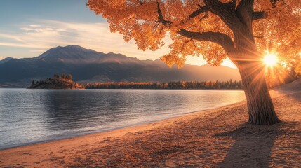 Sticker - A serene lake view featuring an arched tree, with sunlight filtering through its branches, creating a tranquil atmosphere by the water's edge.