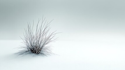 Poster - sparse bush is positioned on a plain white illuminated surface