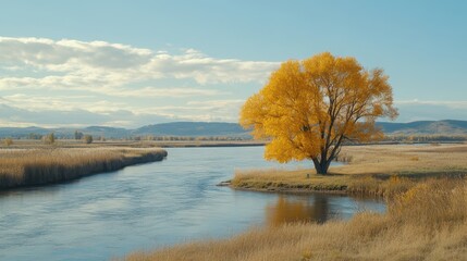 Sticker - A solitary tree rises majestically in the center of a flowing river, creating a striking contrast between land and water.