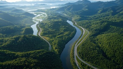 Poster - A river runs through a forest with a green landscape