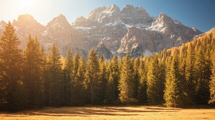 Wall Mural - A serene landscape featuring distant mountains, a lush green field, and scattered trees under a clear sky, evoking tranquility and natural beauty.