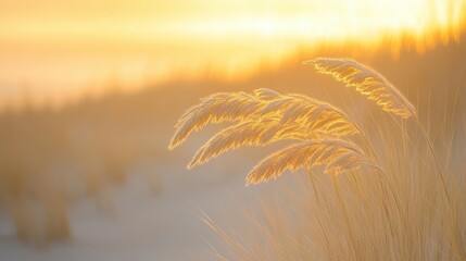 Wall Mural - Lush tall grass sways gently under a vibrant sunset, while a serene forest silhouette enhances the tranquil beauty of the evening scene.