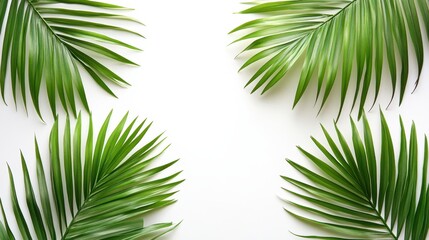 Wall Mural - A detailed close-up of a vibrant palm leaf resting on a smooth white surface, showcasing its intricate texture and natural beauty.