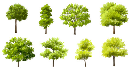 Wall Mural - vector watercolor green tree or forest side view isolated on white background for landscape and arch