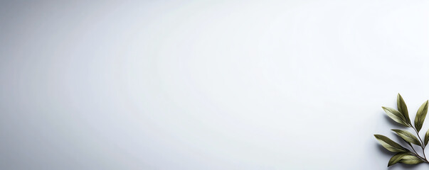 Poster - minimalist background featuring light surface with green leaf accent, perfect for showcasing products or designs