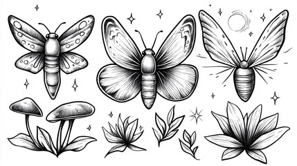 Poster - Line art illustration featuring insects, fungi, and plants. Black ink drawing on white background. Simple, whimsical style