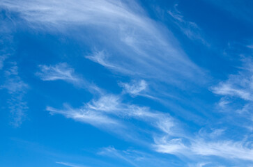 Wall Mural - white clouds in blue sky.