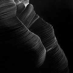 Aufkleber - Striking Contrast: Abstract White Lines on Black Background, a Study in Texture and Form